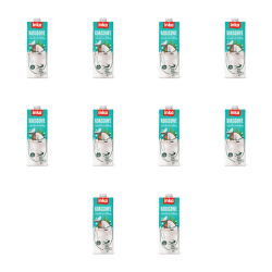 1773268455502-1644-2-x10-0rbxjp.png