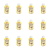 1773273235529-8131-2-x12-vj0xh4.png