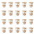 1773274147309-9381-2-x20-4j5ysq.png