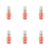 1773275060186-10750-2-x6-p8ro7.png