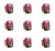 image-editor%2Fmultipack%2F1777032751020-r2282-c1-x9.png