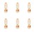 image-editor%2Fmultipack%2F1777032791881-r2324-c1-x6.png