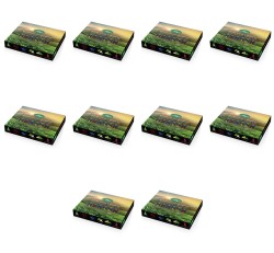 image-editor%2Fmultipack%2F1777033337957-r2837-c1-x10.png