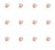 image-editor%2Fmultipack%2F1777033378801-r2873-c1-x12.png