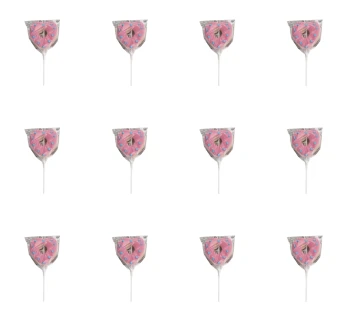 image-editor%2Fmultipack%2F1777033436015-r2923-c1-x12.png