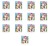 image-editor%2Fmultipack%2F1777033490327-r2971-c1-x13.png