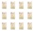 image-editor%2Fmultipack%2F1777033905037-r3344-c1-x12.png
