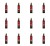 image-editor%2Fmultipack%2F1777034042212-r3473-c1-x12.png