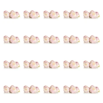 1773275435930-11306-2-x20-1sos2uc.png