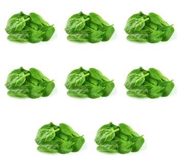 image-editor%2Fmultipack%2F1777031700691-r1265-c1-x8.png