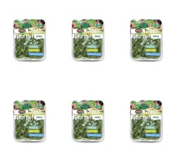 image-editor%2Fmultipack%2F1777031712693-r1271-c1-x6.png