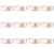 image-editor%2Fmultipack%2F1777034287958-r3717-c1-x12.png