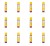 image-editor%2Fmultipack%2F1777034353428-r3785-c1-x12.png