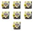 image-editor%2Fmultipack%2F1777034382442-r3814-c1-x7.png