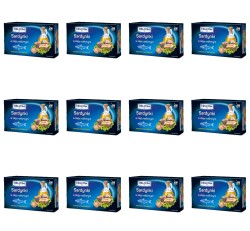image-editor%2Fmultipack%2F1777034552916-r3982-c1-x12.png
