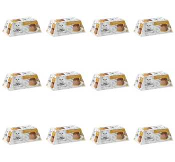 image-editor%2Fmultipack%2F1777034606806-r4034-c1-x12.png