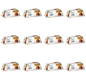 image-editor%2Fmultipack%2F1777034627483-r4056-c1-x12.png