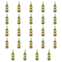 1773271233835-5401-2-x24-anvffg.png