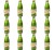 image-editor%2Fmultipack%2F1779456494532-r554-c1-x12.png