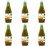 image-editor%2Fmultipack%2F1779456822690-r830-c1-x6.png