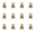 image-editor%2Fmultipack%2F1779456103630-r250-c1-x12.png