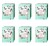 image-editor%2Fmultipack%2F1779456639663-r674-c1-x6.png