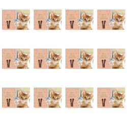 image-editor%2Fmultipack%2F1779718027699-r524-c1-x12.png
