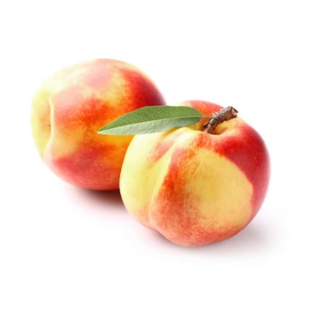 1779194119402-d1ido.png