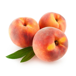1779194153555-fpb9ni.png