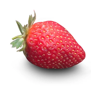 1779194319879-f350r4.png