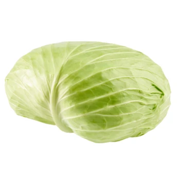 1779194544036-fmykpe.png