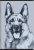 1771873182054-1860-6-cs031g.png