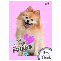 1779185951039-opyhjx.png