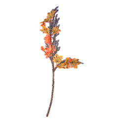 1768510638386-25450-3-l8bav.png