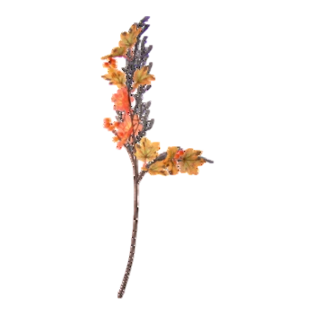 1768510638386-25450-3-l8bav.png