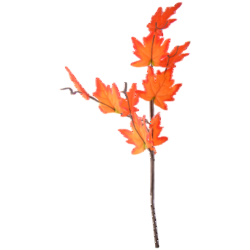 1768512383709-29090-3-densx.png