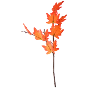 1768512383709-29090-3-densx.png