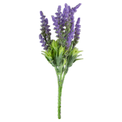 1768514459643-32656-3-amcn04j.png