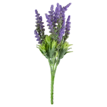 1768514459643-32656-3-amcn04j.png