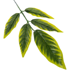 1768515560031-34597-3-rh4s6s.png
