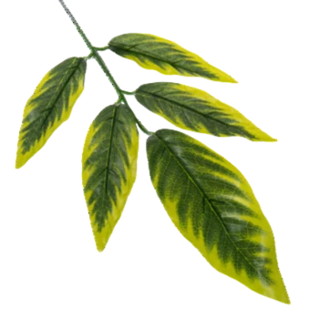 1768515560031-34597-3-rh4s6s.png