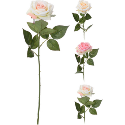 1768518010979-38925-3-r5mzz4.png