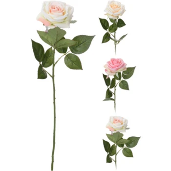 1768518010979-38925-3-r5mzz4.png