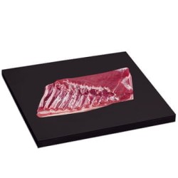 ca0b43169da526534496286b66a4e149