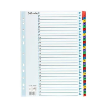 Przekładki kartonowe Mylar A4 ESSELTE, biały 1-31