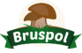 Bruspol